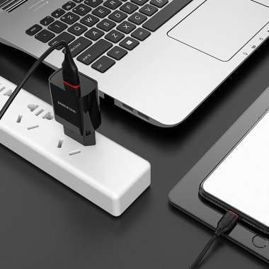 Сетевое зарядное устройство Borofone BA20A Sharp USB с кабелем micro-USB (черное) — 2